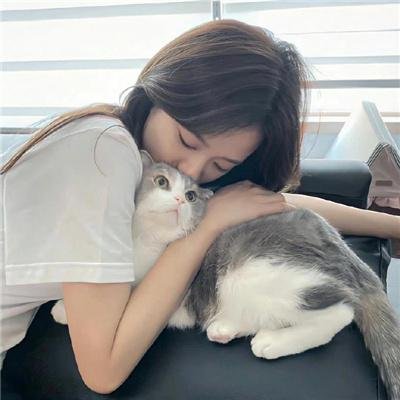 乱世一美人